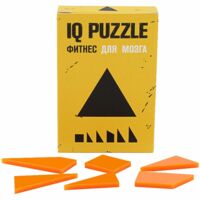 12110.05&nbsp;299.000&nbsp;Головоломка IQ Puzzle Figures, треугольник&nbsp;113671