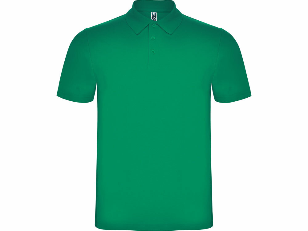663220M&nbsp;1267.400&nbsp;Рубашка поло "Austral" мужская, зеленый&nbsp;184319