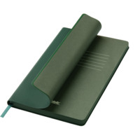 24272.040&nbsp;1045&nbsp;Ежедневник Latte soft touch недатированный, зеленый&nbsp;237679