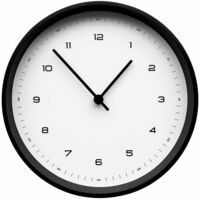 17125.63&nbsp;4191&nbsp;Часы настенные Flash, белые с черным&nbsp;132992