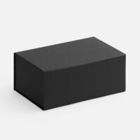 10147.31&nbsp;610&nbsp;Коробка LumiBox, черная (Noir)&nbsp;274001