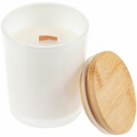 17381.60&nbsp;1150&nbsp;Свеча ароматическая Savor Flavor, ver.2, манго&nbsp;254674