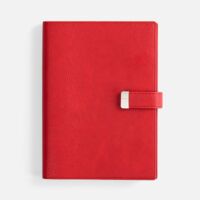 20132.50&nbsp;1856&nbsp;Ежедневник Repute, недатированный, красный&nbsp;274060