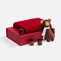 20460.50&nbsp;4270&nbsp;Набор WinterWish, красный&nbsp;275787