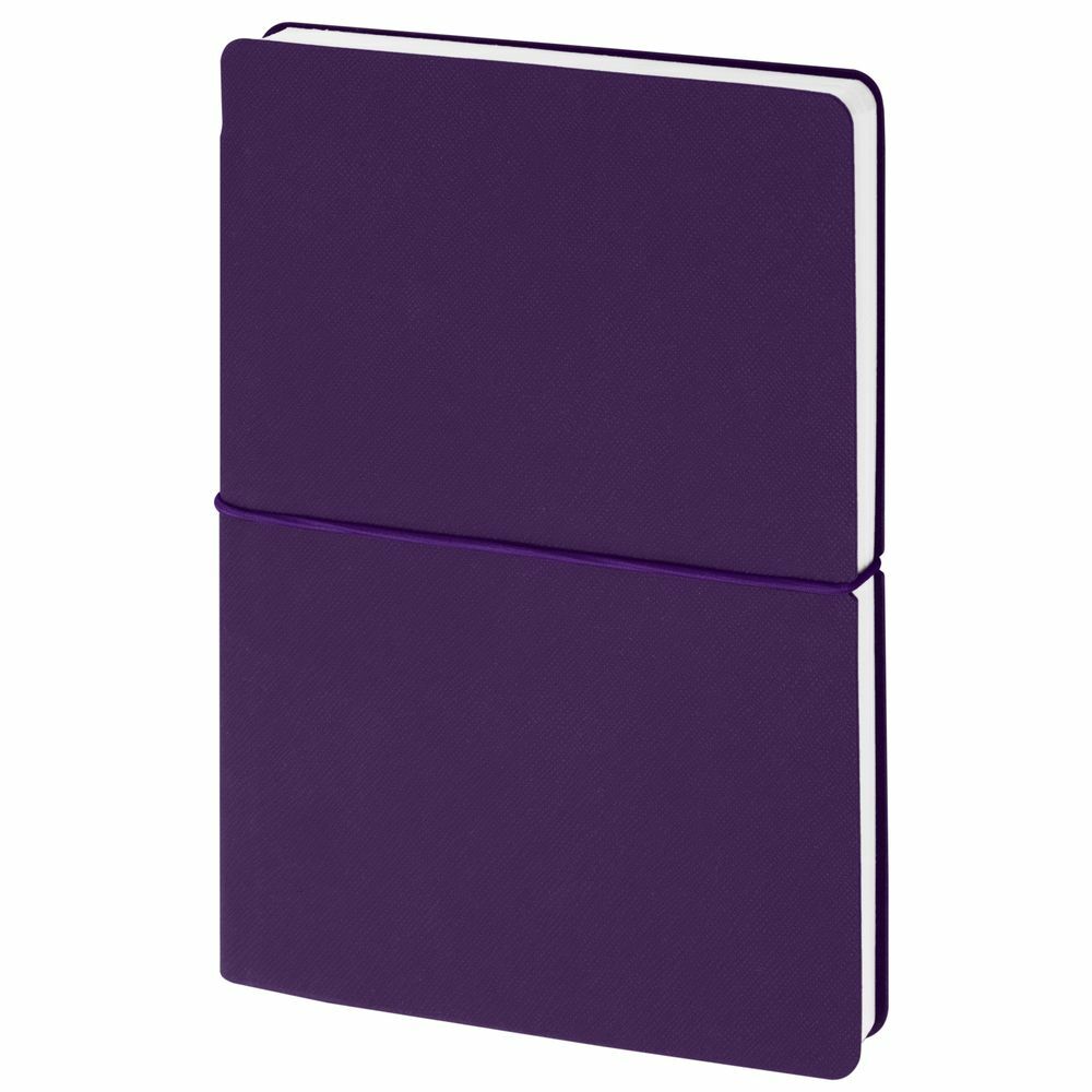 21168.70&nbsp;830&nbsp;Ежедневник Flexpen Bright, недатированный, фиолетовый&nbsp;274741
