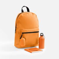 22305.20&nbsp;2980&nbsp;Набор Charm Sport, оранжевый&nbsp;278754