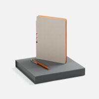 22421.12&nbsp;2199.8&nbsp;Набор Flexpen Grey, оранжевый&nbsp;271955