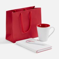 23394.50 1717.1 Набор White Shall Simple, красный 276170