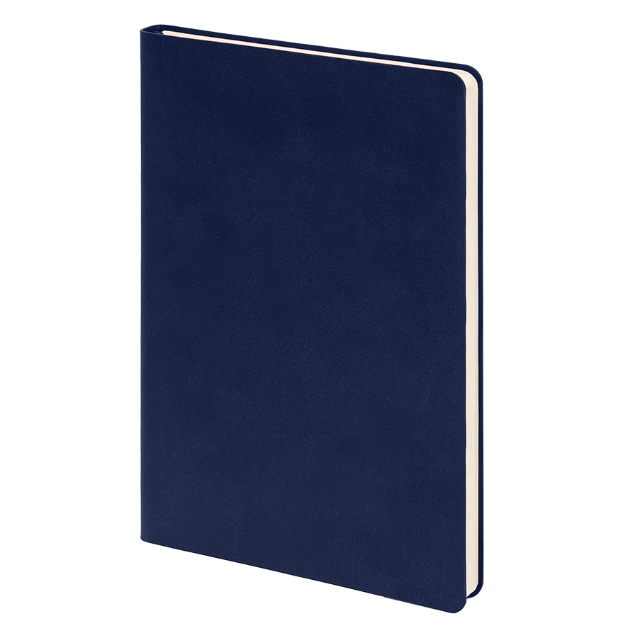 21209_01/26/30&nbsp;704&nbsp;Ежедневник недатированный "FunkyPlan", 130*210 мм, темно-синий, серый форзац, в линейку&nbsp;242975