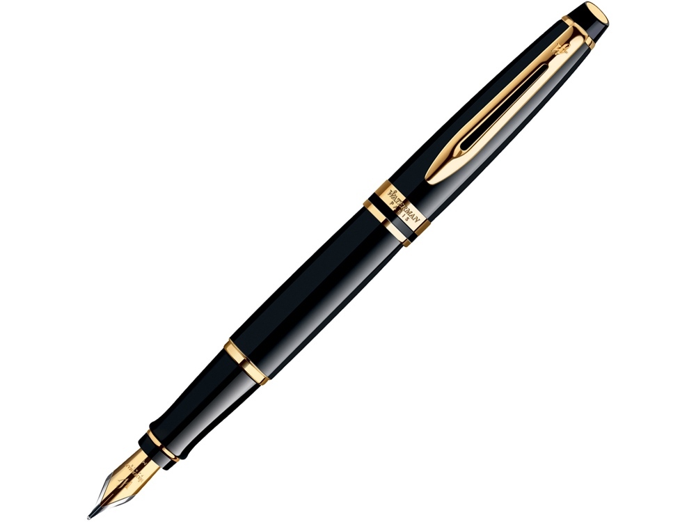 326597&nbsp;35192.31&nbsp;Ручка перьевая Expert 3 Black GT&nbsp;65717