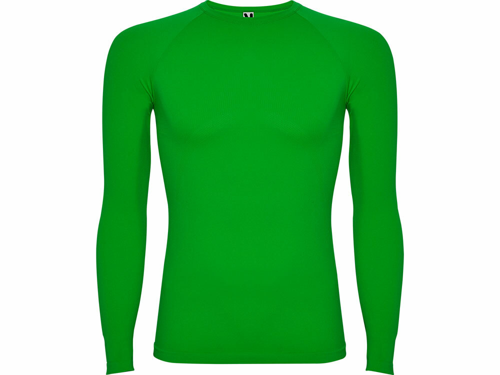 365CA226XL-2XL&nbsp;2607&nbsp;Футболка "Prime" мужская с длинным рукавом, папоротниковый&nbsp;197734
