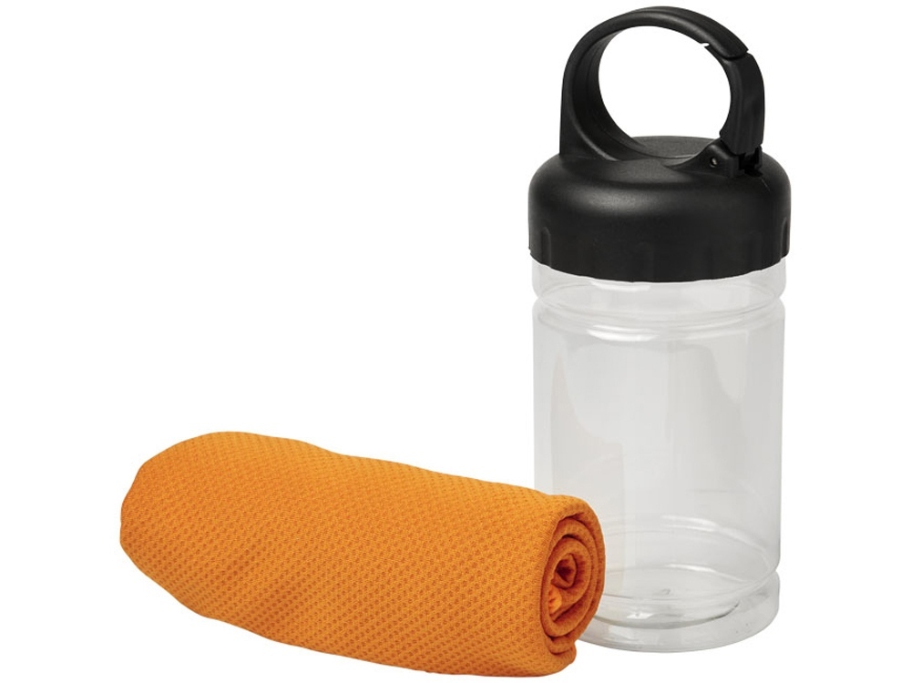 12617008&nbsp;660.92&nbsp;Охлаждающее полотенце Remy в контейнере&nbsp;98068