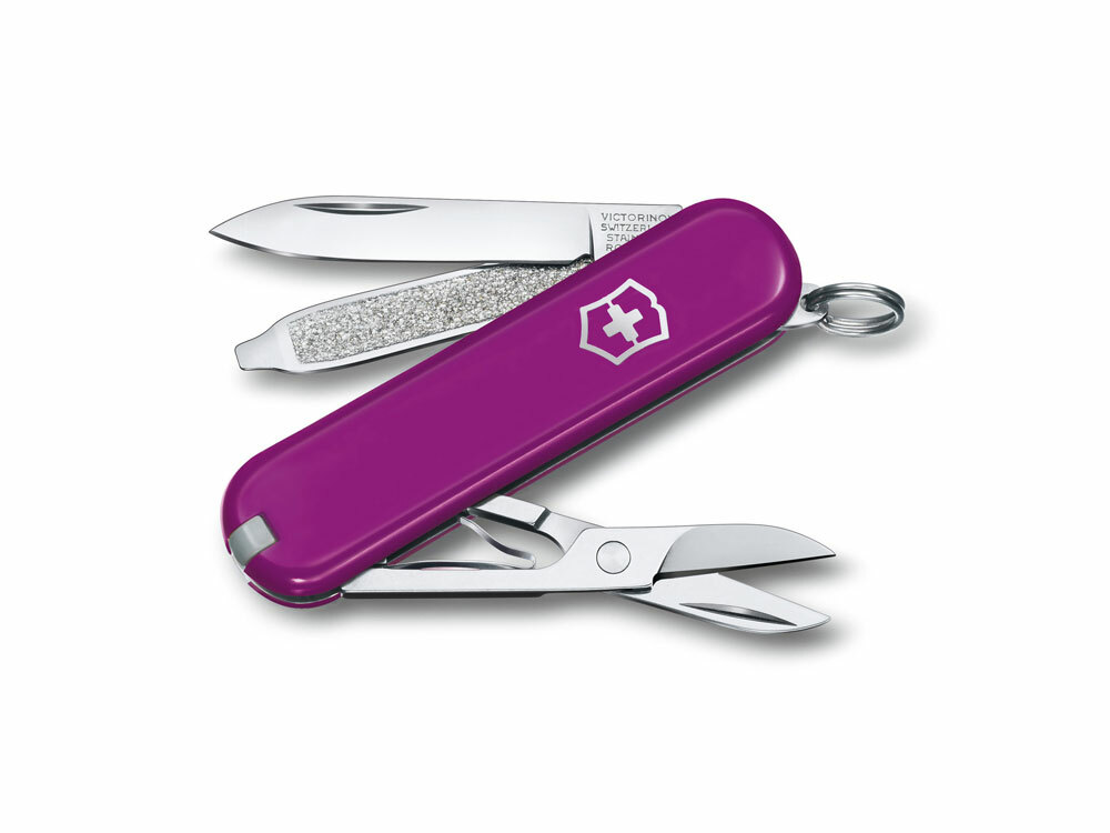 601175&nbsp;4599.230&nbsp;Нож-брелок VICTORINOX Classic SD Colors "Tasty Grape", 58 мм, 7 функций, фиолетовый&nbsp;196718