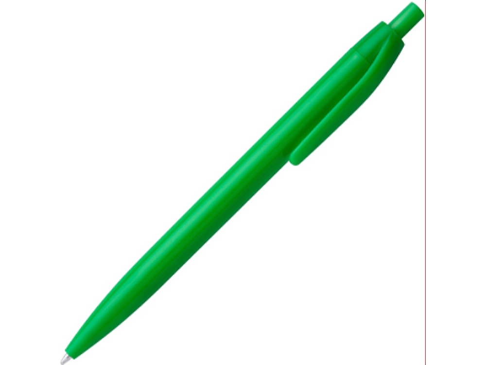 HW8010S1226&nbsp;23&nbsp;Ручка пластиковая шариковая STIX, синие чернила, папоротник&nbsp;226106