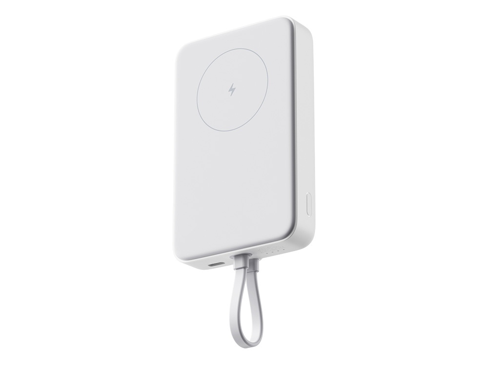 595976&nbsp;4303.63&nbsp;Внешний аккумулятор с кабелем Xiaomi 33W Magnetic Power Bank 10000mAh (Integrated Cable) White&nbsp;282024