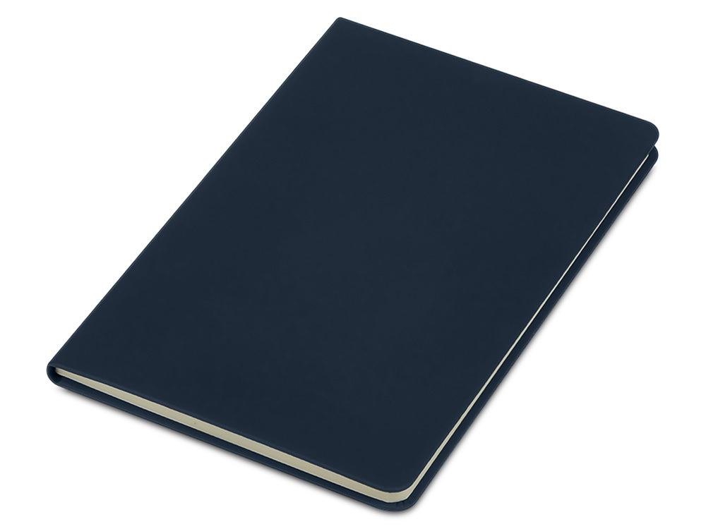 781812&nbsp;310.33&nbsp;Блокнот в твердой обложке A5 «Виспи» в клетку, темно-синий&nbsp;279473