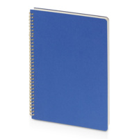 7-100-1374.07&nbsp;637.3&nbsp;Бизнес тетрадь на гребне А4 "Pragmatic", 100 листов в клетку, синий&nbsp;275859