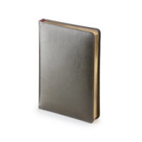 3-125.09.26&nbsp;468.36&nbsp;Ежедневник А5 датированный «Sidney Nebraska» 2026, серый (золотой обрез)&nbsp;279560