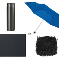 350063.03&nbsp;2754.2&nbsp;Подарочный набор с зонтом и термосом, синий&nbsp;261127