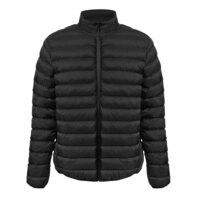 800899L&nbsp;3695.38&nbsp;Стеганная куртка "Uniqloud", черный&nbsp;275268