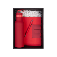 8006-4&nbsp;3256&nbsp;Набор "Успех" красный&nbsp;279868