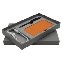 TC-809.0814&nbsp;2308&nbsp;Набор Bplanner Power (оранжевый с серым)&nbsp;243453